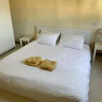 Elegant In * بيتراسانتا